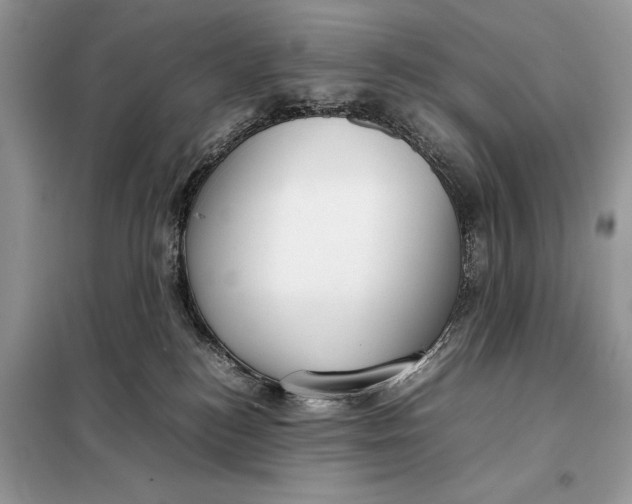 X0000098020184200804181212