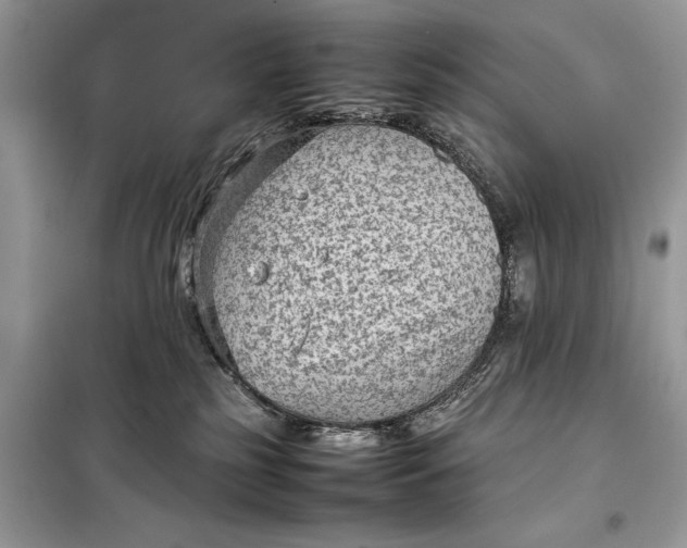 X0000098020185200804181212