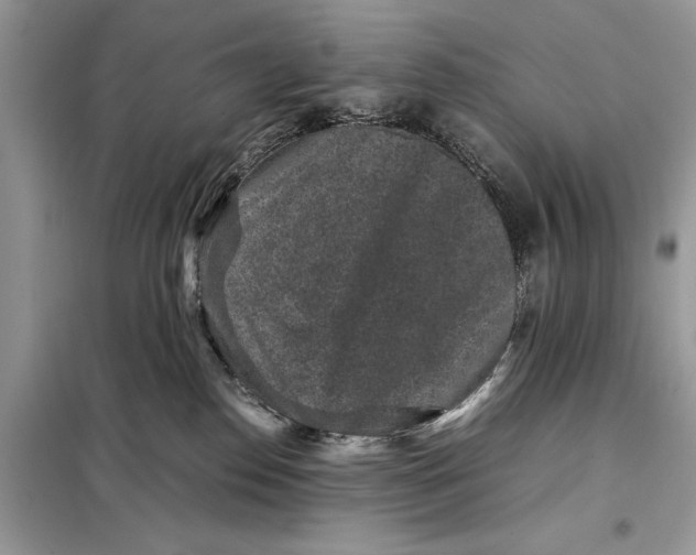 X0000098020186200804181212