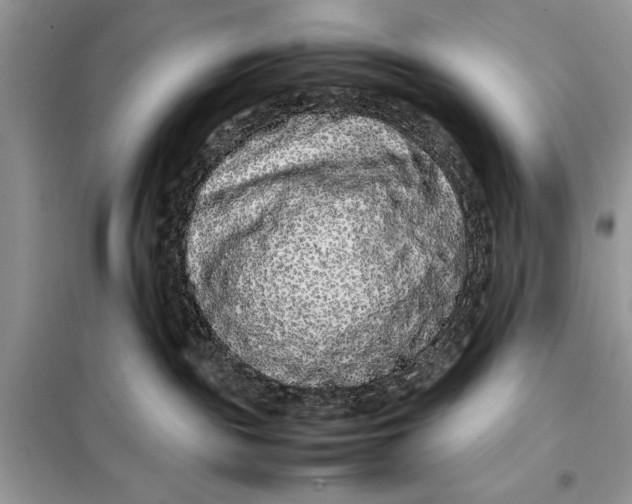 X0000098020189200804181212