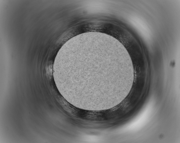 X0000098020190200804181212