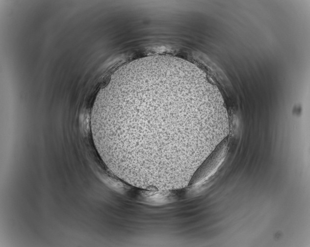 X0000098020191200804181212