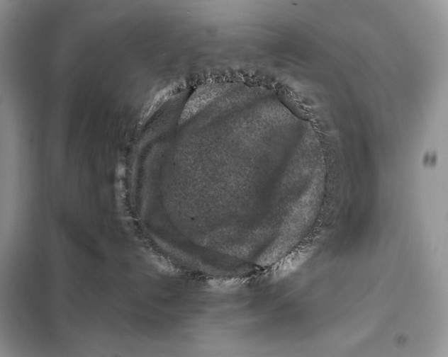 X0000098020192200804181212