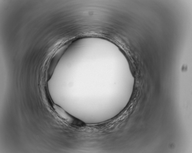 X0000098020193200804181211
