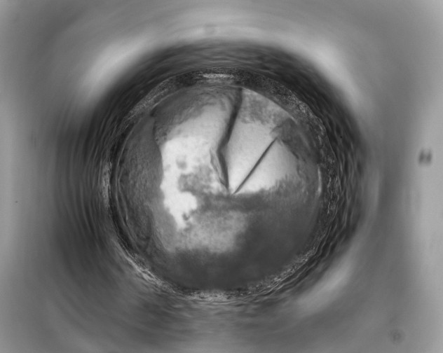 X0000098020194200804181211