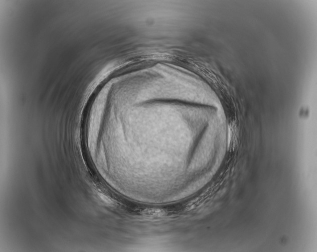 X0000098020195200804181211