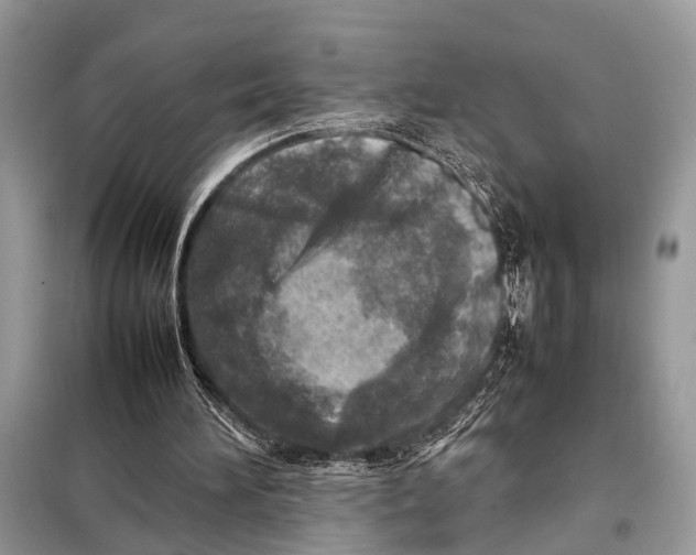 X0000098020196200804181211