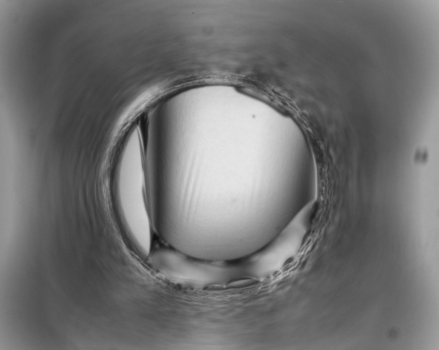 X0000098020197200804181211