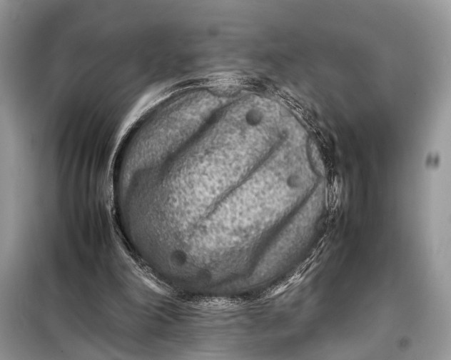 X0000098020198200804181211