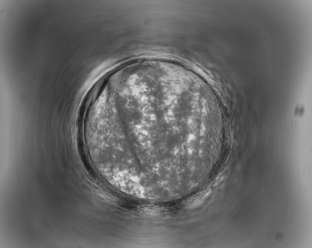 X0000098020199200804181211