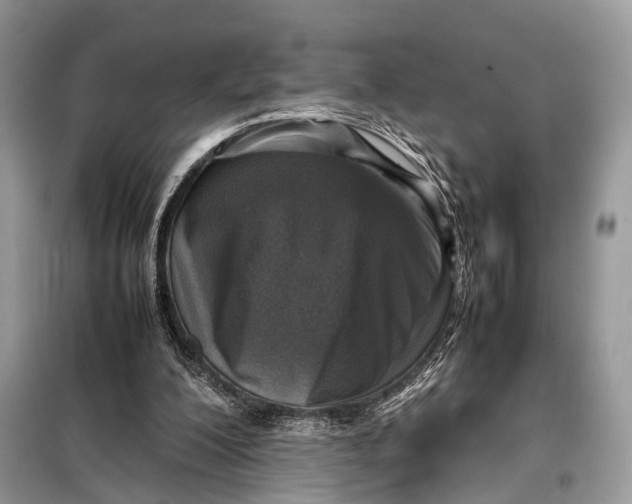 X0000098020200200804181211