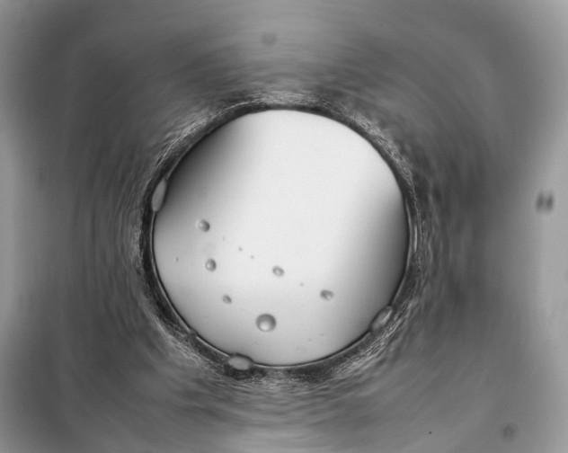 X0000098020201200804181211