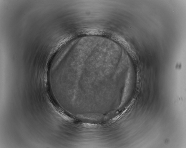 X0000098020202200804181211