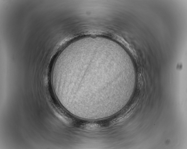 X0000098020203200804181211