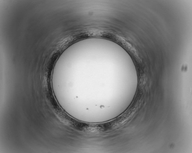 X0000098020209200804181211