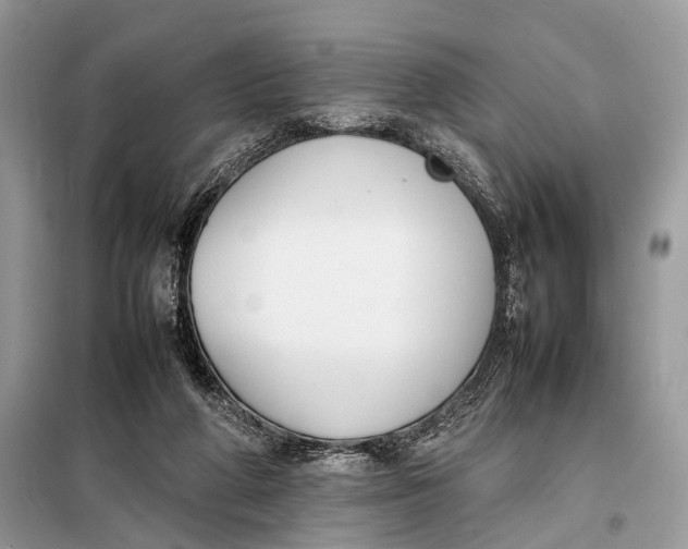 X0000098020210200804181211