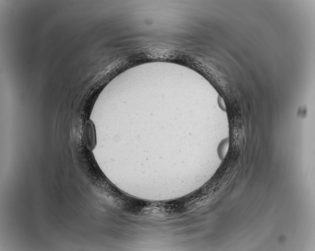 X0000098020211200804181211