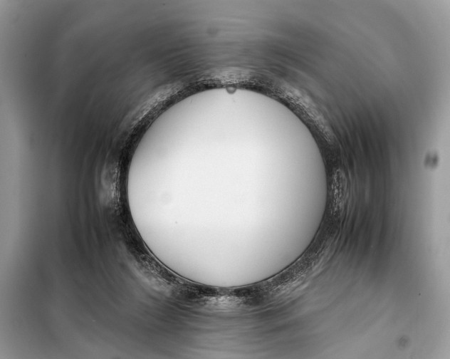 X0000098020212200804181211