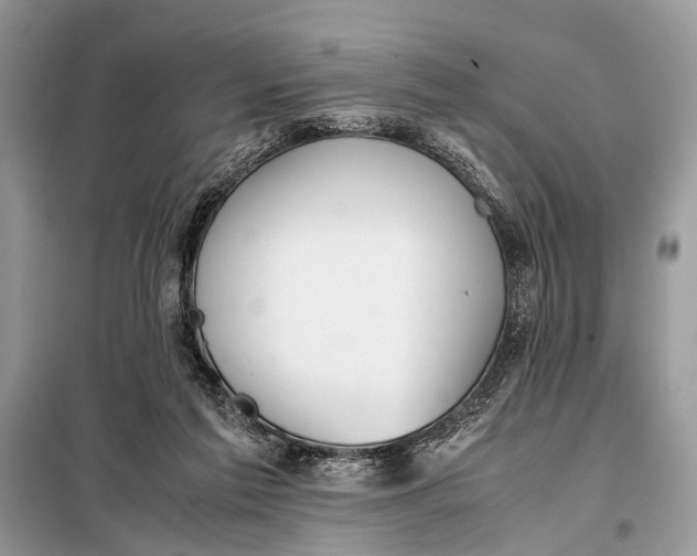 X0000098020213200804181211