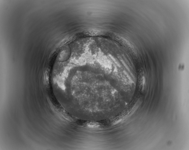 X0000098020214200804181211