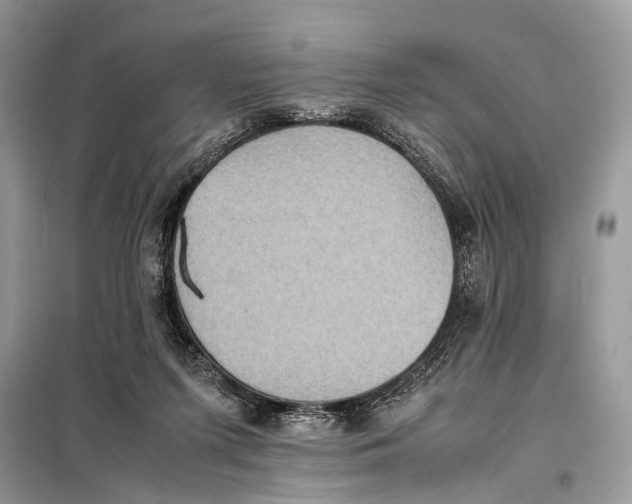 X0000098020215200804181211