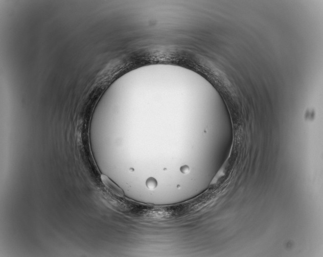 X0000098020217200804181211