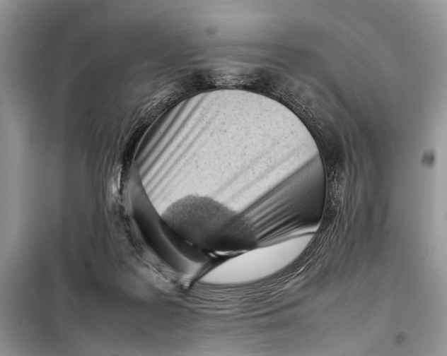 X0000098020219200804181211