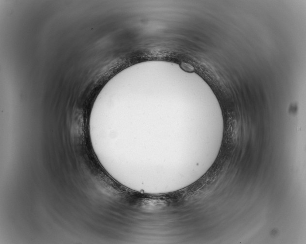 X0000098020220200804181211