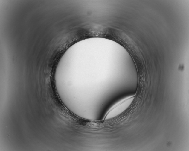 X0000098020221200804181211