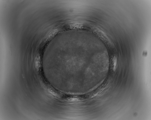 X0000098020224200804181211