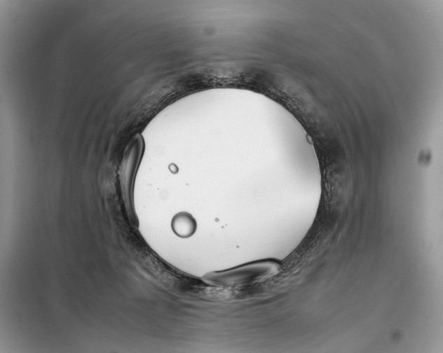 X0000098020225200804181211