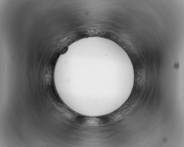 X0000098020226200804181211