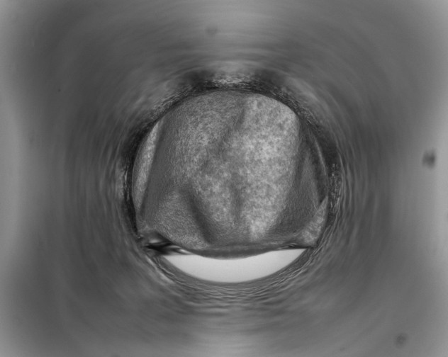 X0000098020227200804181211