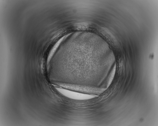 X0000098020228200804181211