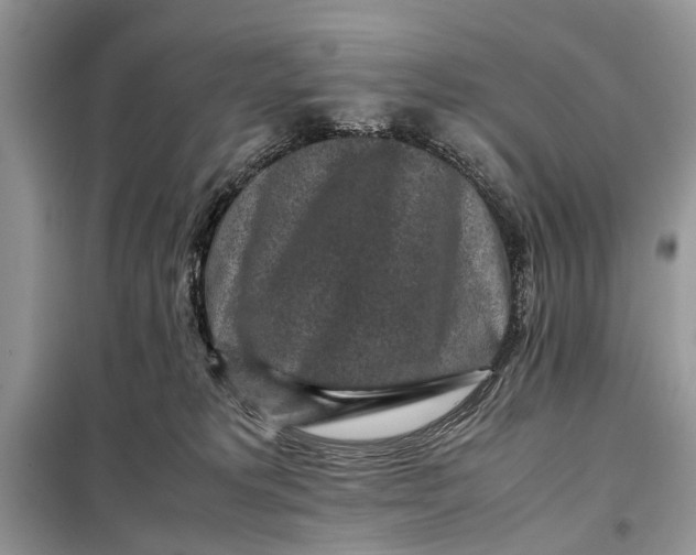 X0000098020229200804181211