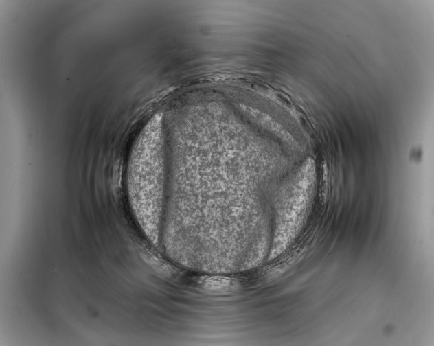 X0000098020230200804181211