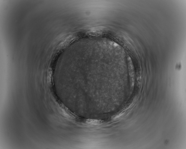 X0000098020231200804181211