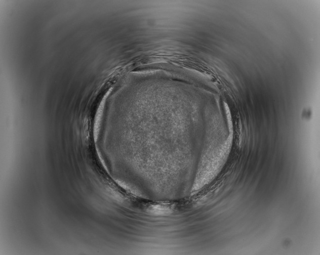 X0000098020232200804181211