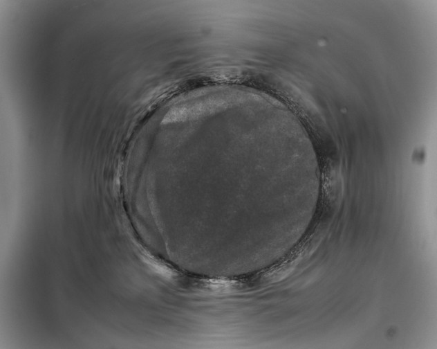 X0000098020233200804181211