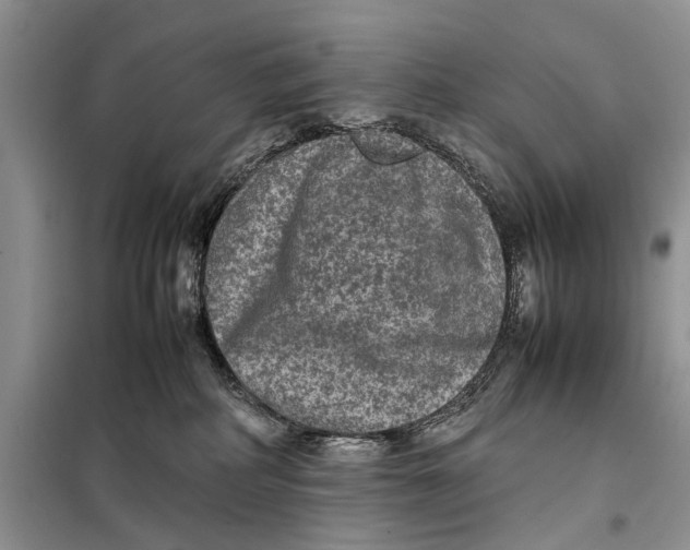 X0000098020234200804181211