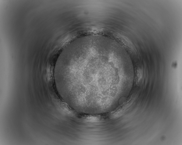 X0000098020236200804181210