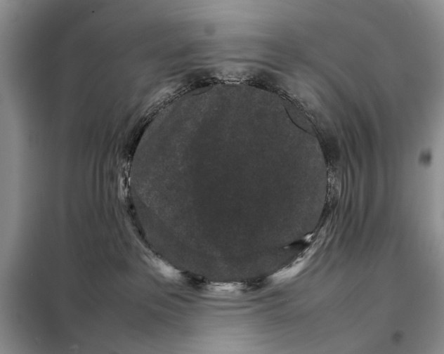 X0000098020237200804181210