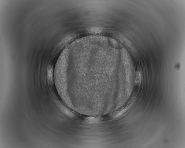 X0000098020238200804181210