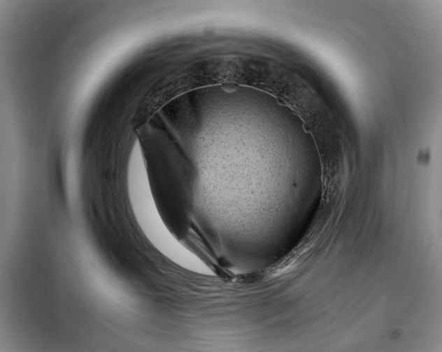 X0000098020239200804181210