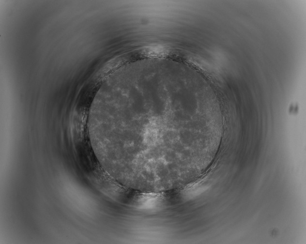 X0000098020240200804181210