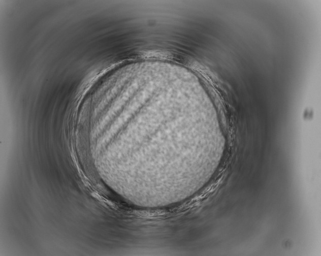 X0000098020241200804181209