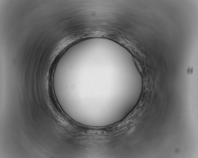 X0000098020242200804181209