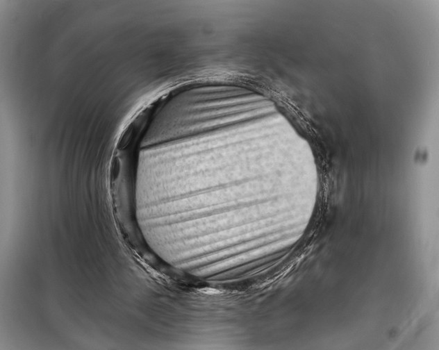 X0000098020244200804181209
