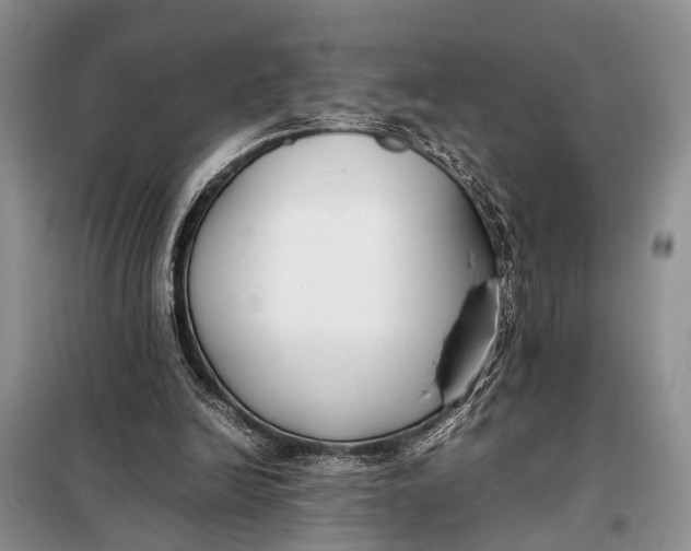 X0000098020246200804181210