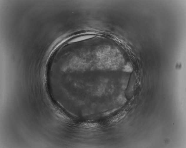 X0000098020247200804181210